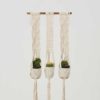 Leon Natural White Plant Holder Made in Nicaragua